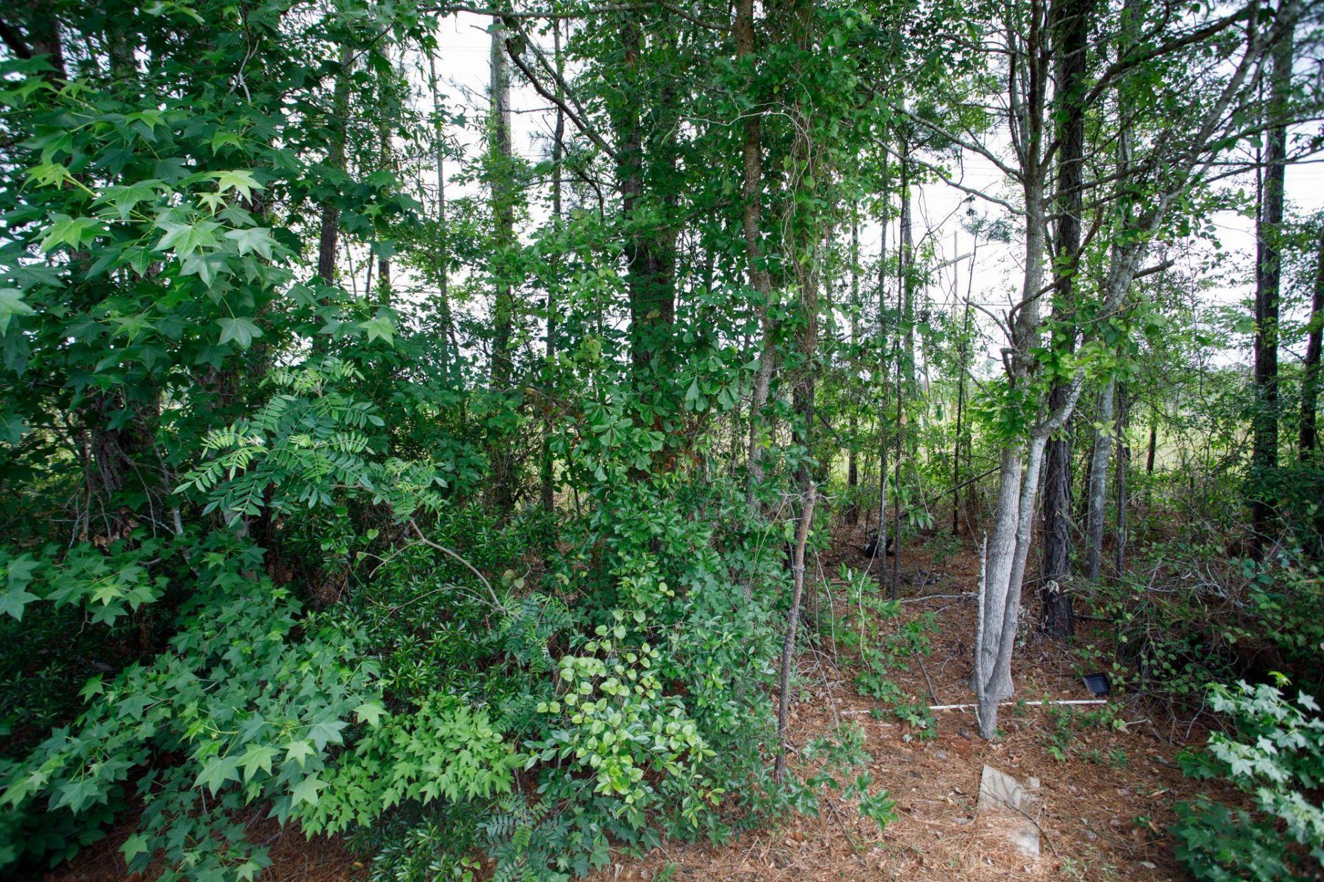 183 Fountain Pointe Ln.  Photo 33