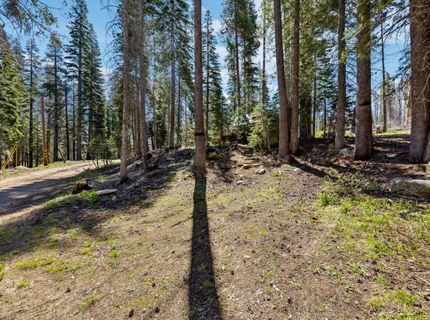 7236 Sayles Canyon Rd, Twin Bridges, CA 95735 Photo