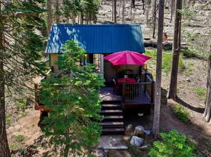 7236 Sayles Canyon Rd, Twin Bridges, CA 95735 Photo