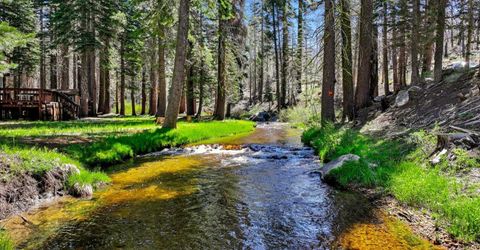 7236 Sayles Canyon Rd, Twin Bridges, CA 95735 Photo