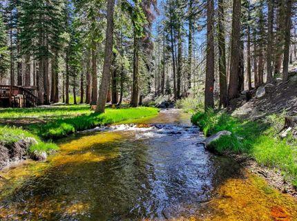 7236 Sayles Canyon Rd, Twin Bridges, CA 95735 Photo