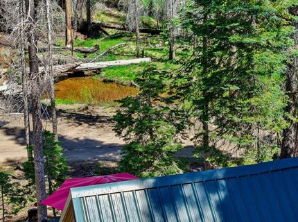 7236 Sayles Canyon Rd, Twin Bridges, CA 95735 Photo