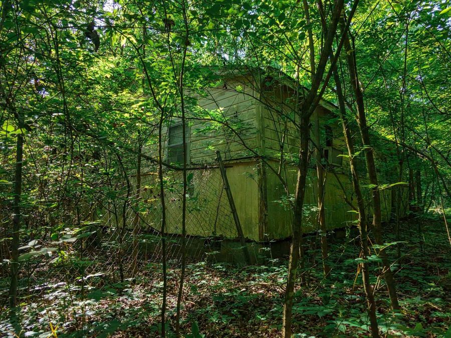 Property Image 8