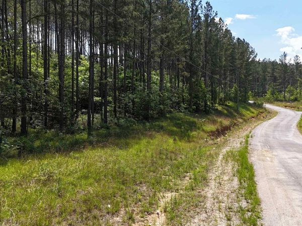 058 Pine Hills Way, Piedmont, AL 36272