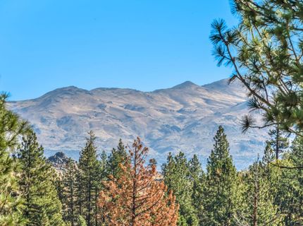 740-935 Sugar Loaf Road, Doyle, CA 96109 Photo
