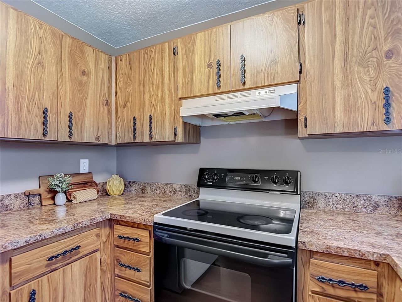 7310 Ivory Terrace , New Port Richey, FL 34655 Photo