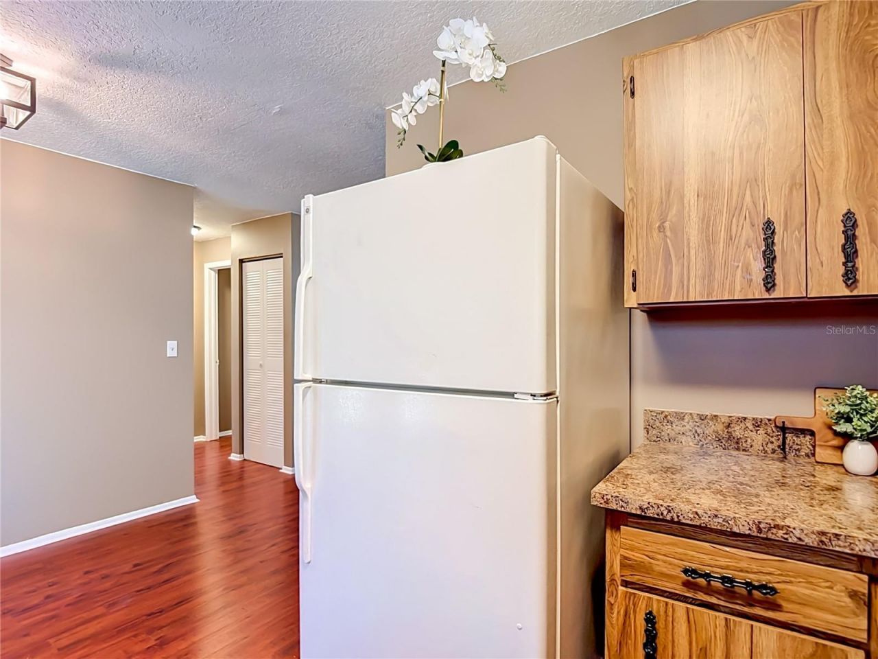 7310 Ivory Terrace , New Port Richey, FL 34655 Photo