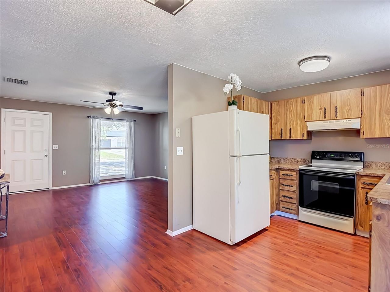 7310 Ivory Terrace , New Port Richey, FL 34655 Photo