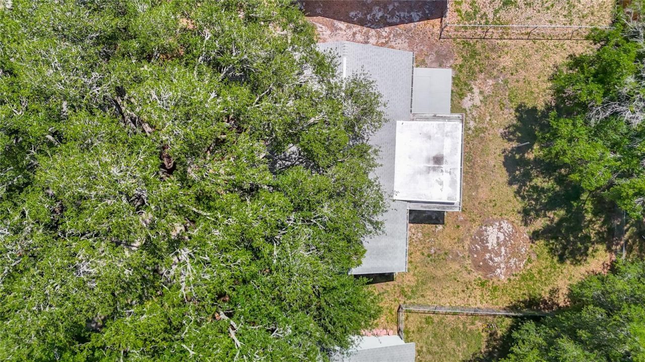 7310 Ivory Terrace , New Port Richey, FL 34655 Photo