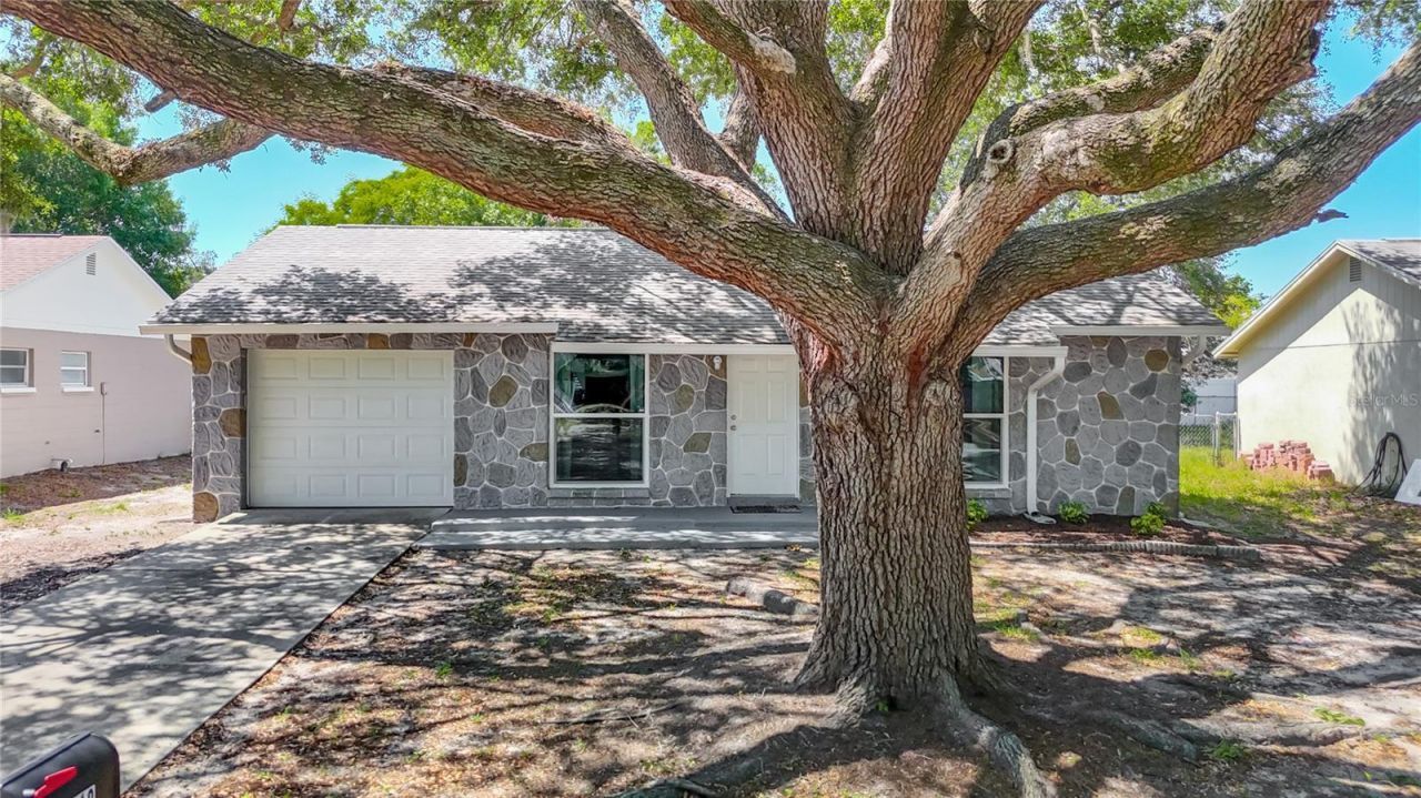 7310 Ivory Terrace , New Port Richey, FL 34655 Photo