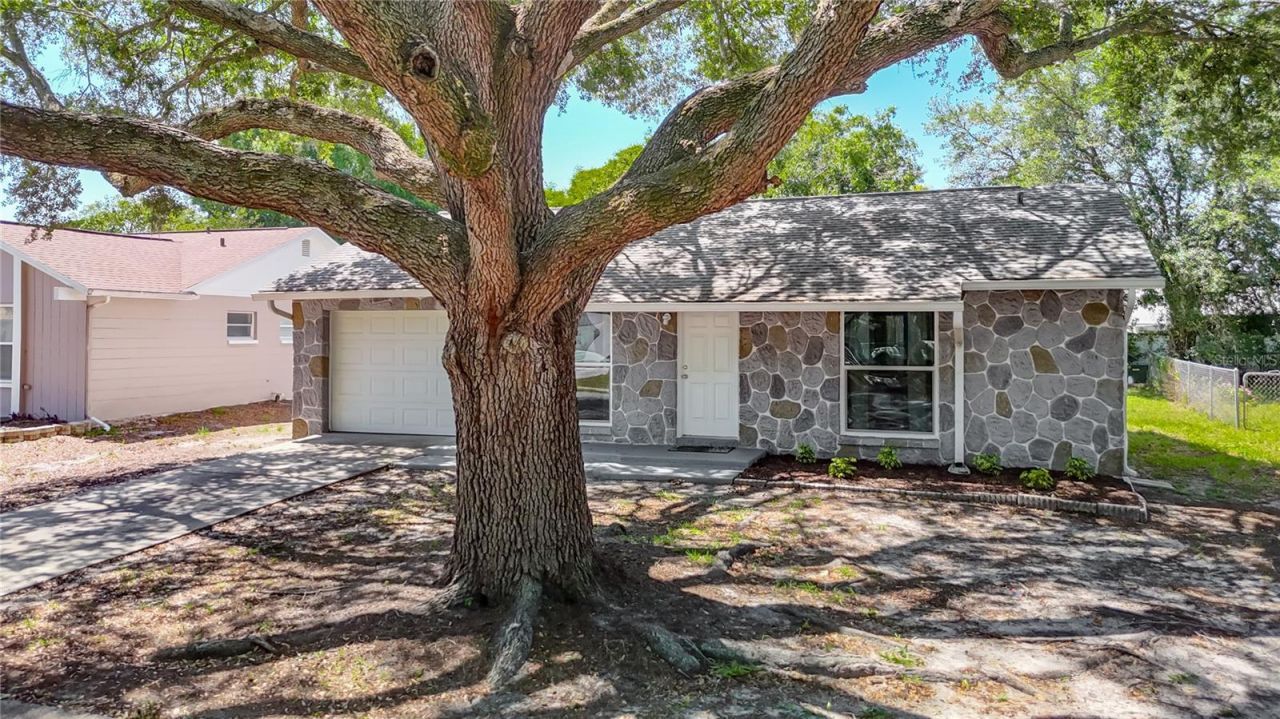 7310 Ivory Terrace , New Port Richey, FL 34655 Photo