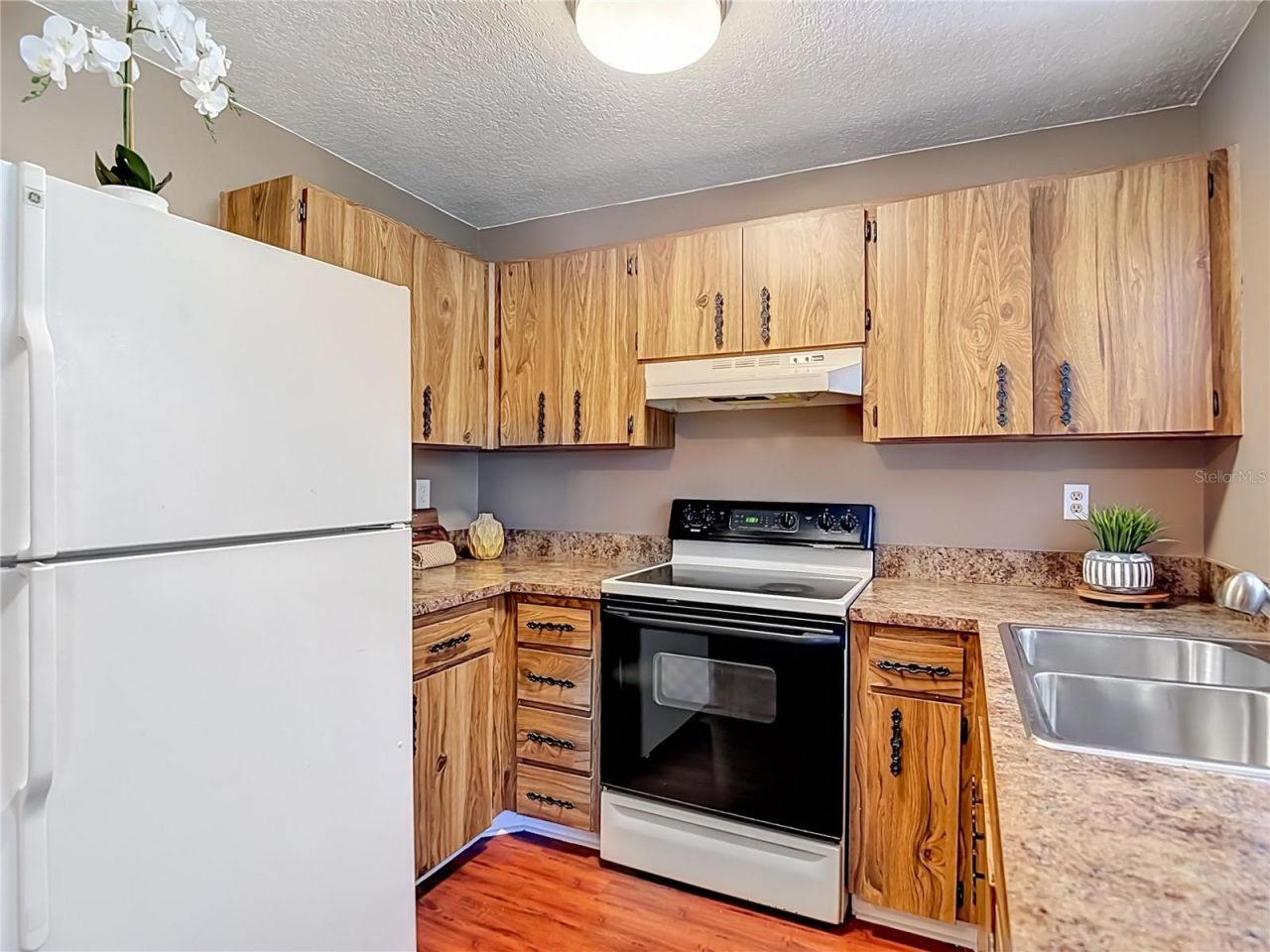 7310 Ivory Terrace , New Port Richey, FL 34655 Photo