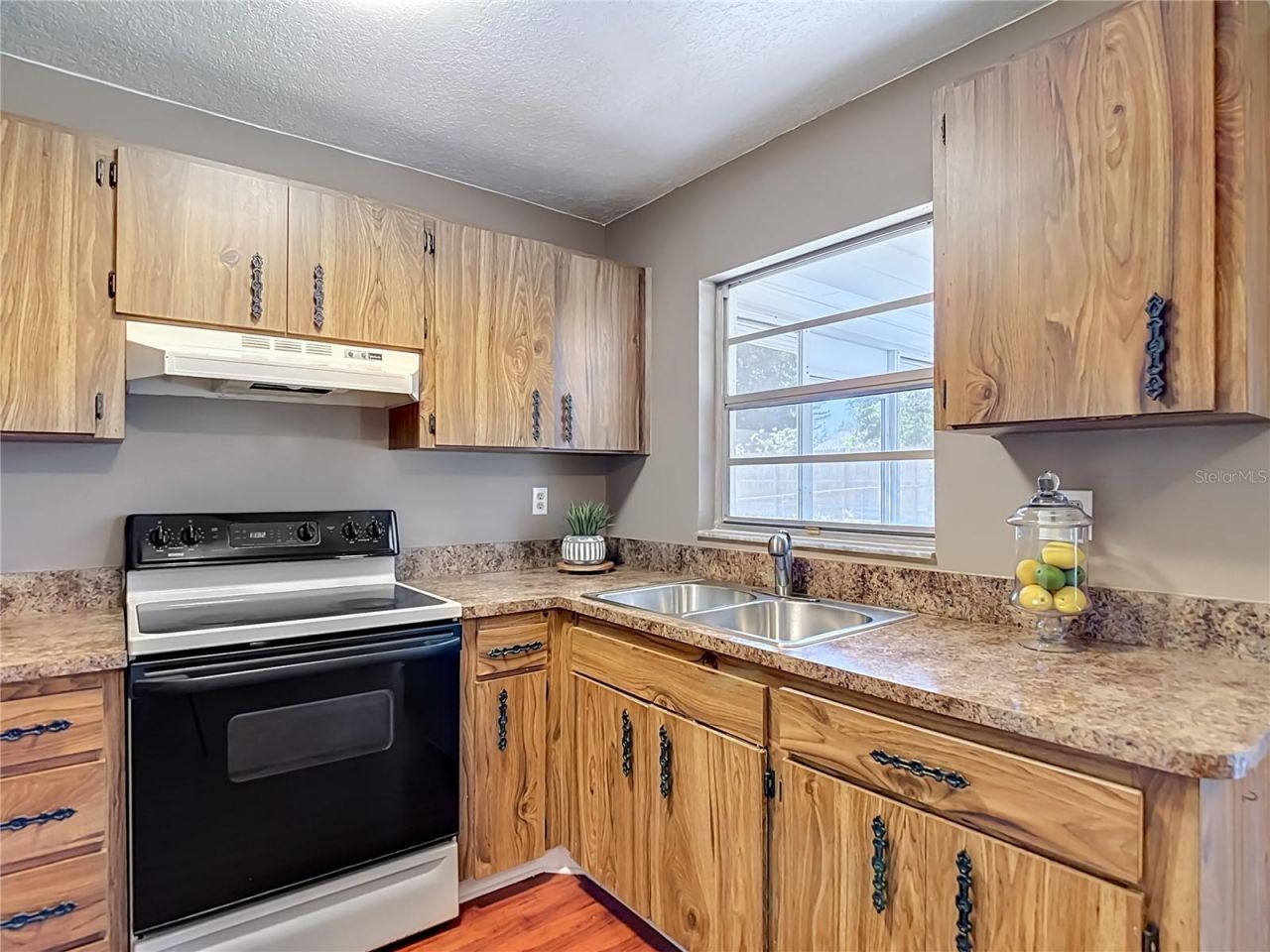 7310 Ivory Terrace , New Port Richey, FL 34655 Photo