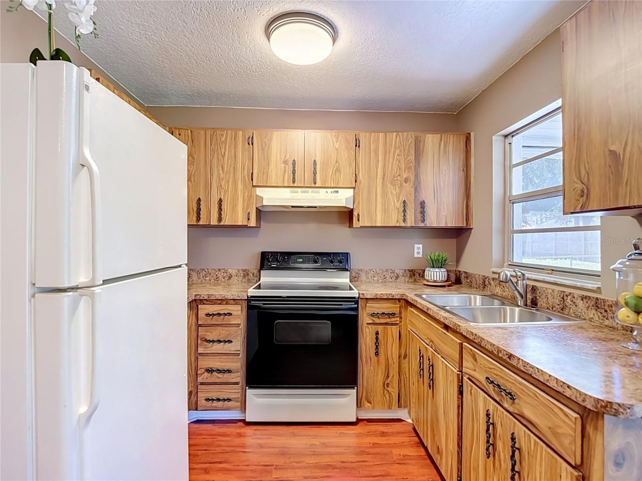 7310 Ivory Terrace , New Port Richey, FL 34655 Photo