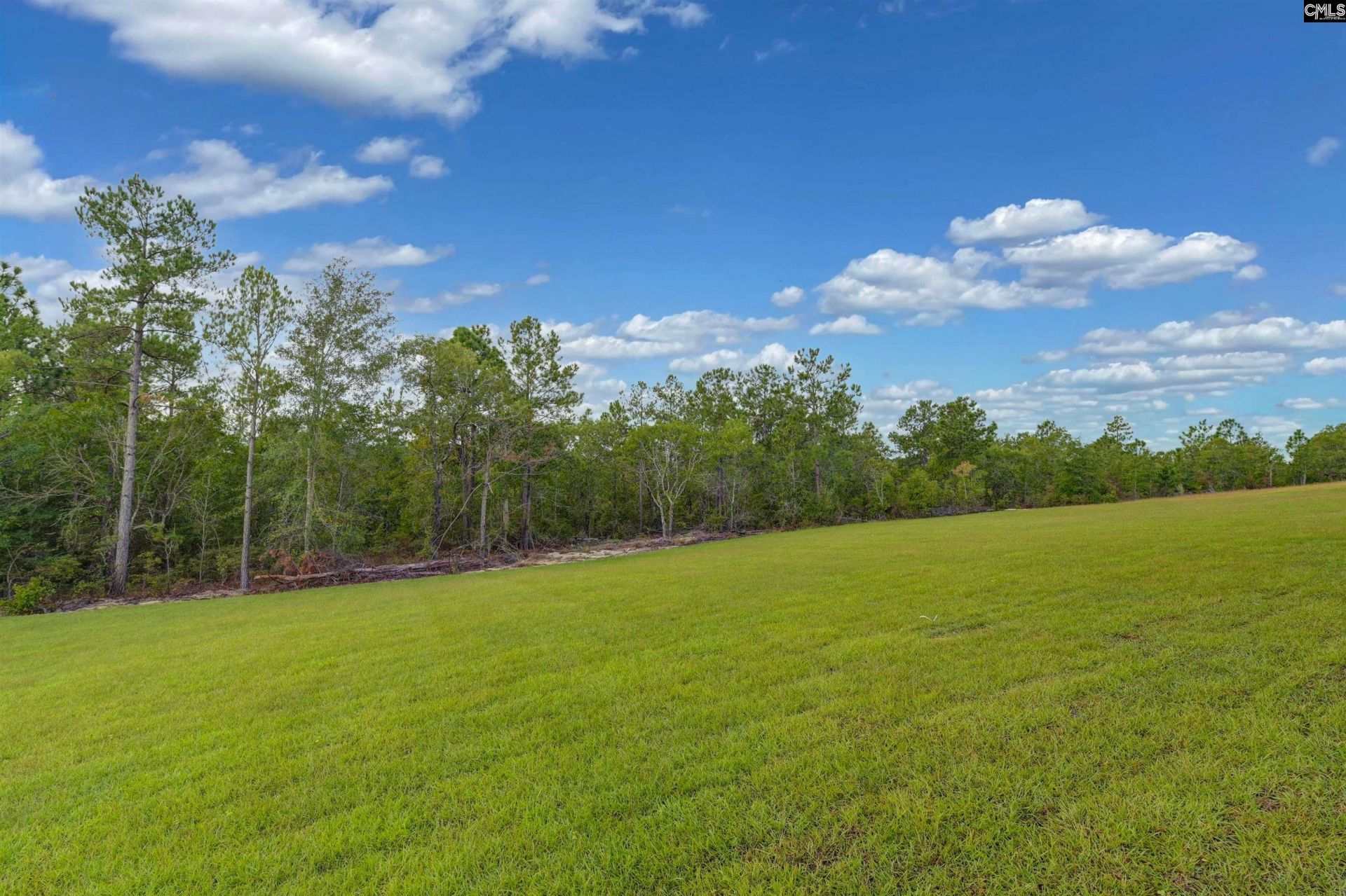 519 Blue Jay Way Photo 45