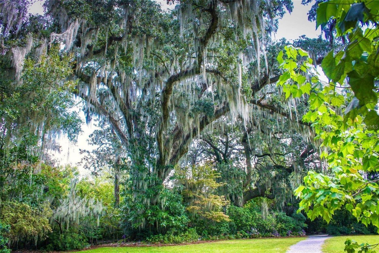 100 W Railway Avenue, Oakland, FL 34760 Photo