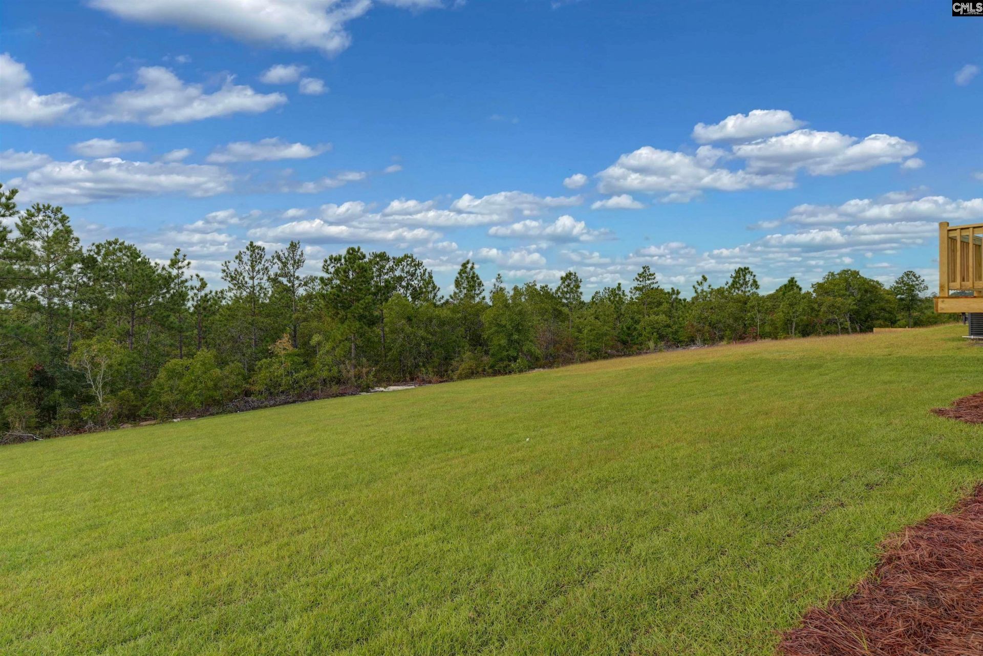 523 Blue Jay Way Photo 54