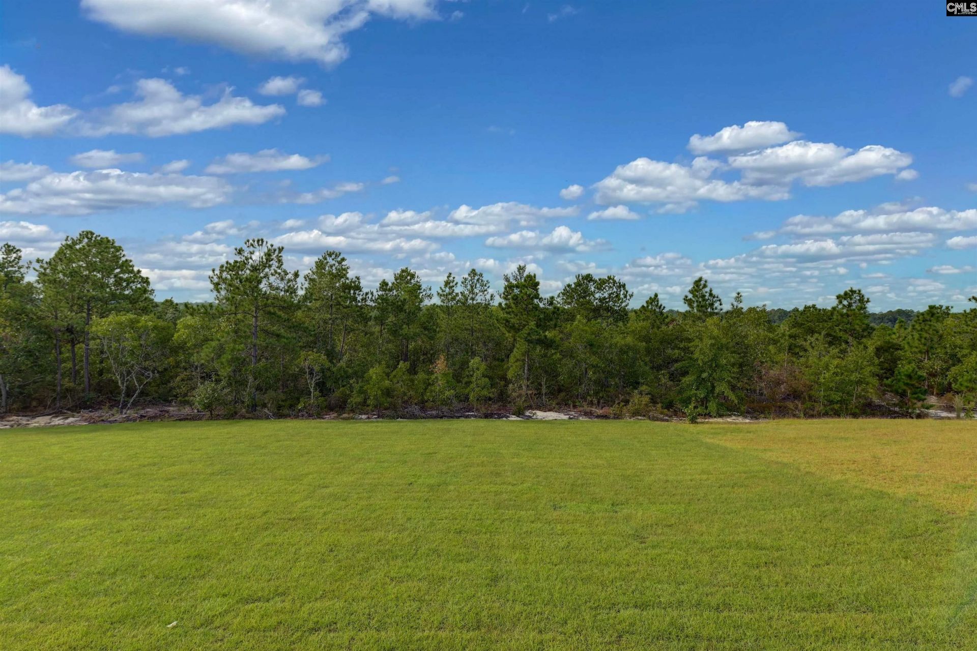 523 Blue Jay Way Photo 7