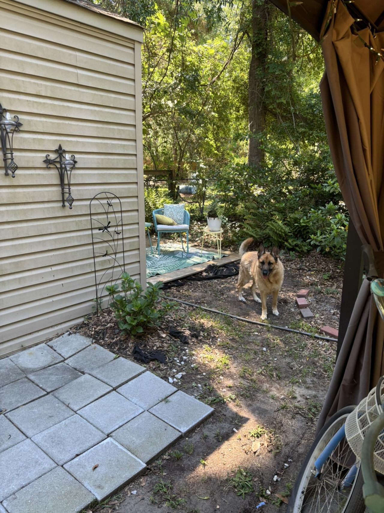 1336 Witter Street Photo 15