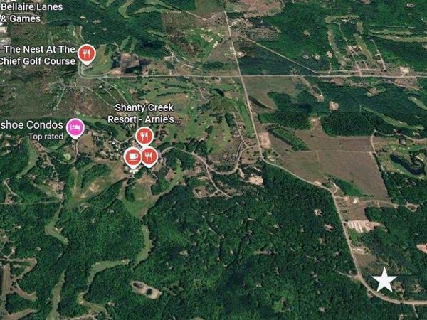 0 Shanty Creek Road, Bellaire, MI 49615
