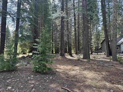 340 Maidu Drive, Lake Almanor, CA 96020 Photo
