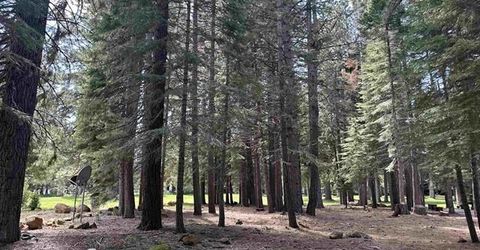 340 Maidu Drive, Lake Almanor, CA 96020 Photo