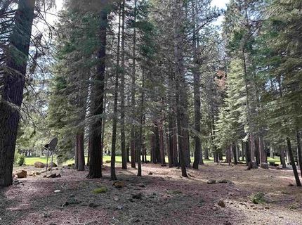340 Maidu Drive, Lake Almanor, CA 96020 Photo