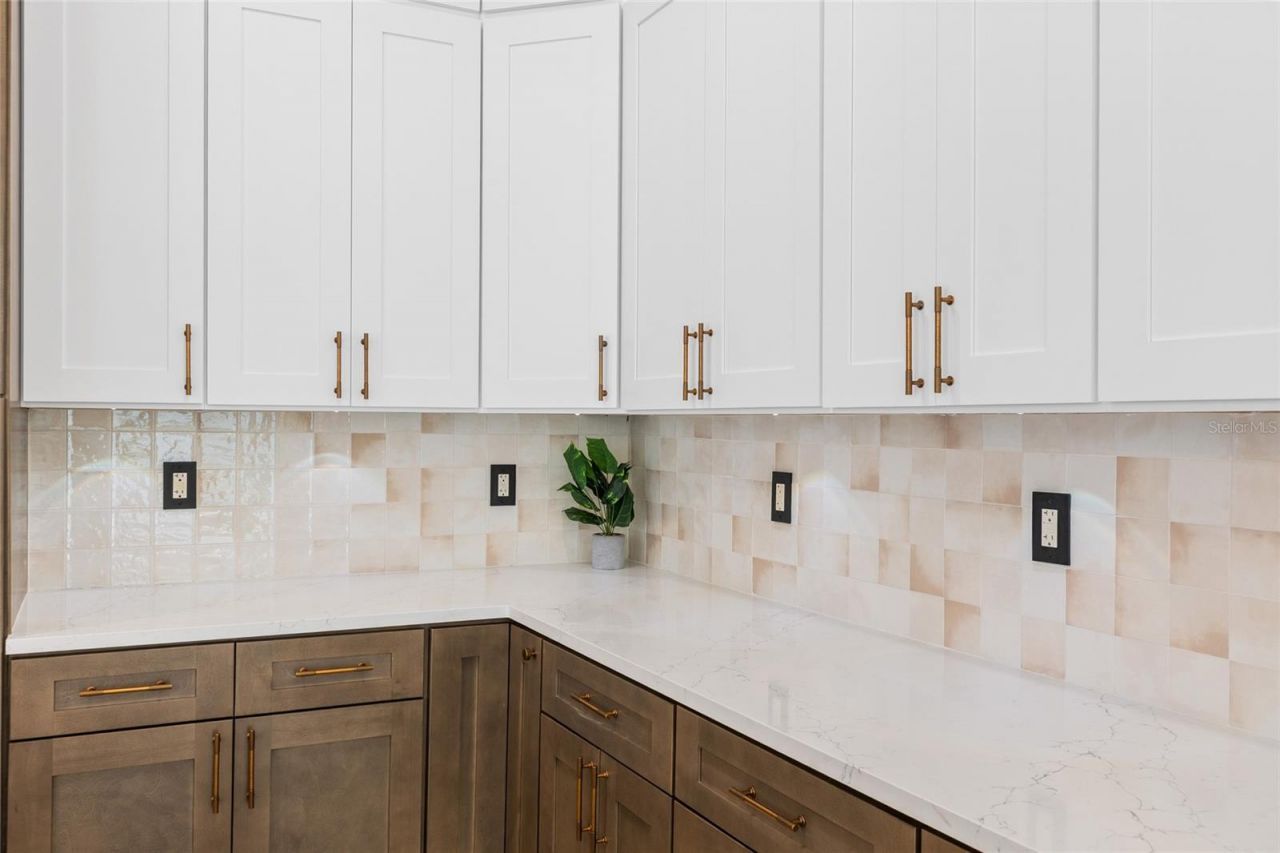 1534 E Lake Woodlands Parkway, Oldsmar, FL 34677 Photo