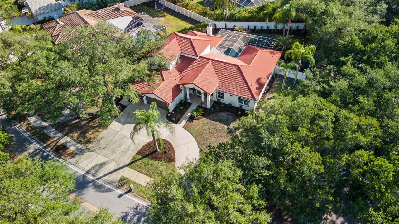 1534 E Lake Woodlands Parkway, Oldsmar, FL 34677 Photo