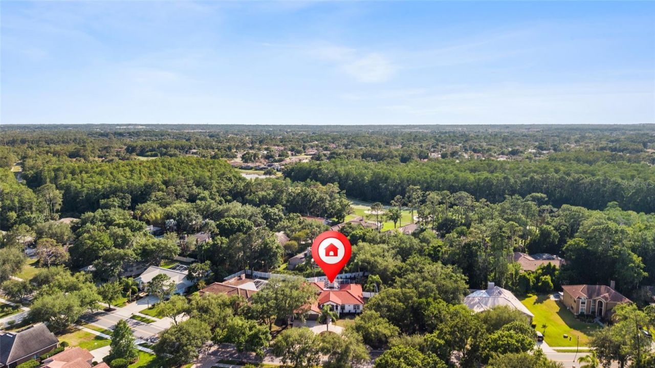 1534 E Lake Woodlands Parkway, Oldsmar, FL 34677 Photo