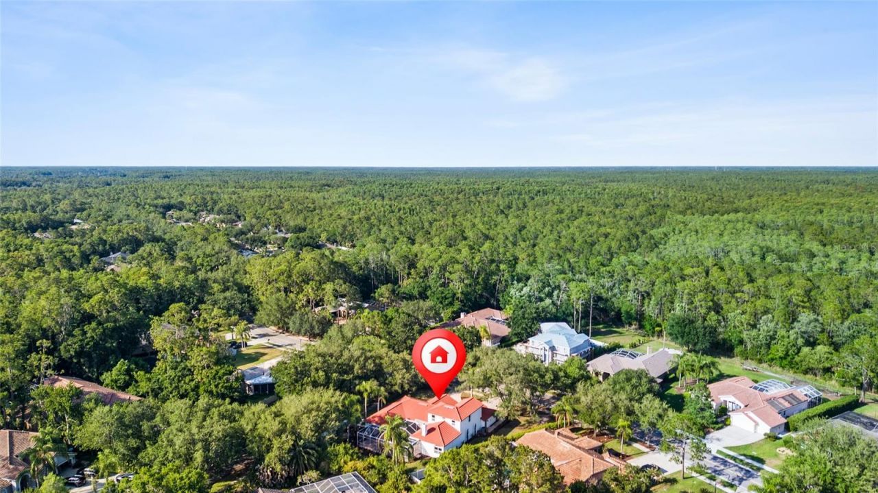 1534 E Lake Woodlands Parkway, Oldsmar, FL 34677 Photo