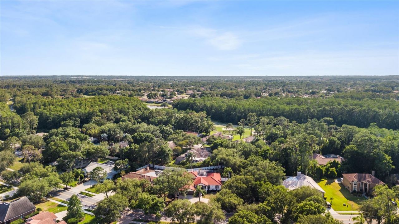 1534 E Lake Woodlands Parkway, Oldsmar, FL 34677 Photo