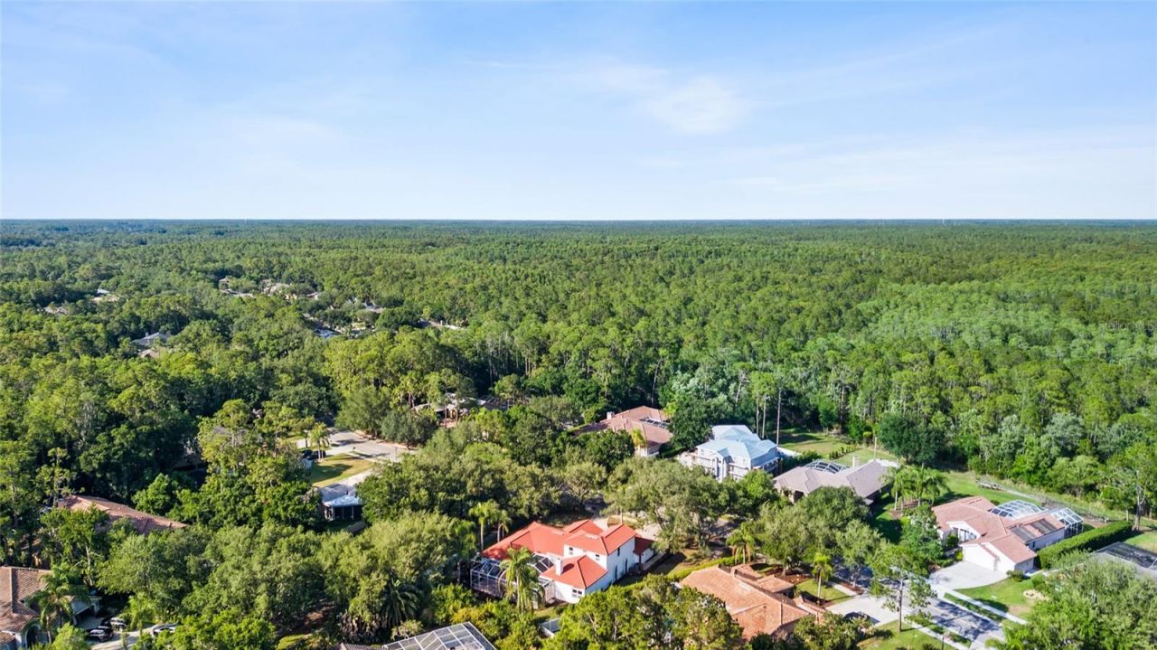 1534 E Lake Woodlands Parkway, Oldsmar, FL 34677 Photo