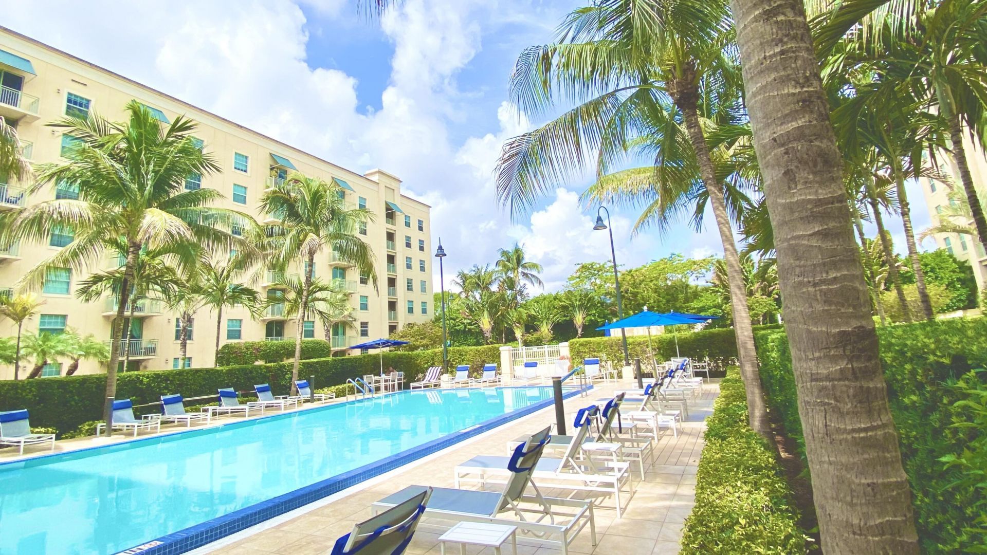 610 Clematis Street, Unit 804, West Palm Beach, FL 33401 Photo
