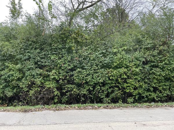 000 Redbud Drive , Joliet, IL 60433