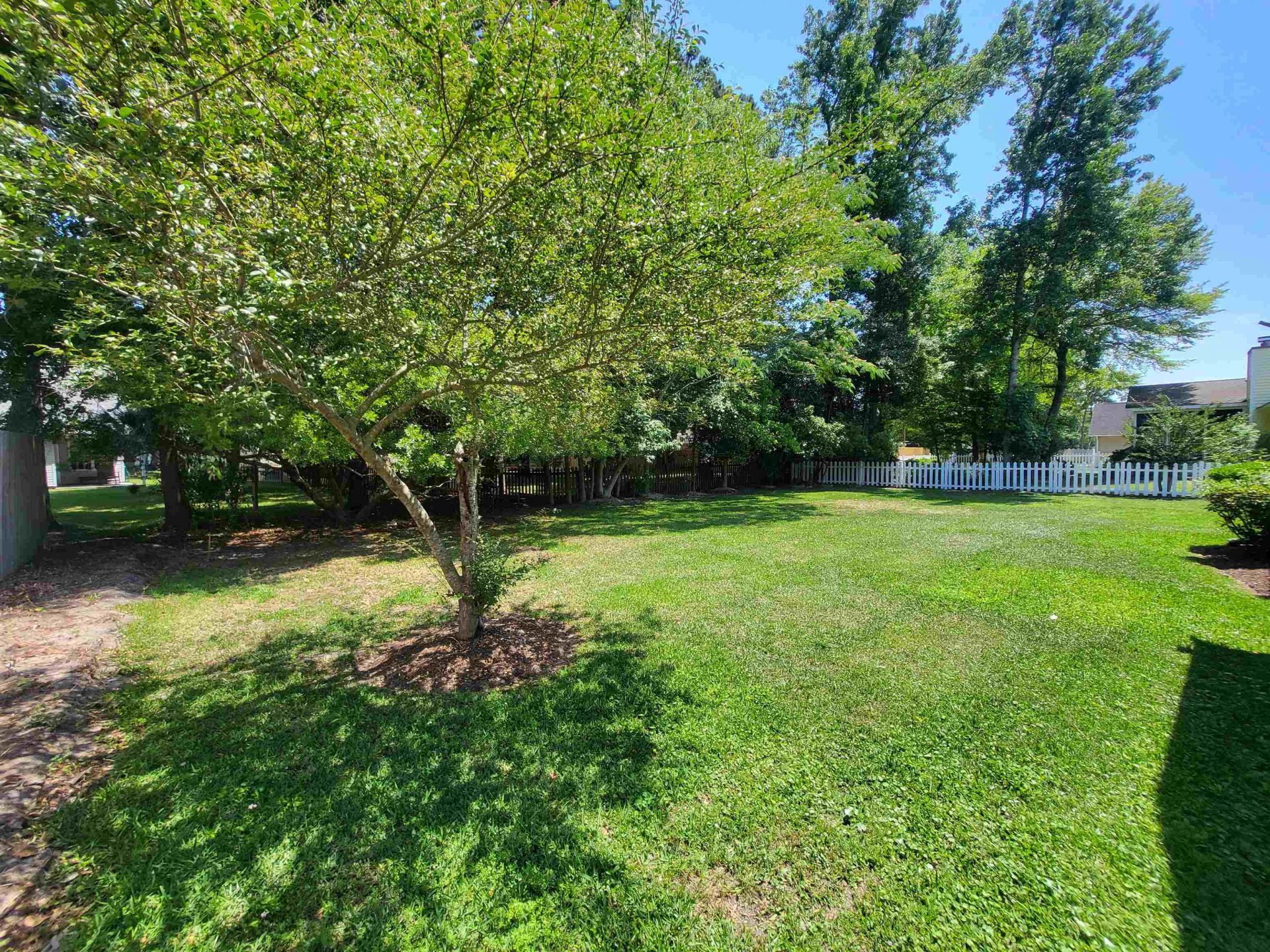 404 Ashwood Ln.  Photo 8