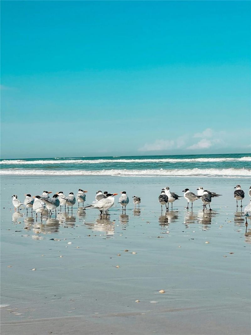 67 Alberta Avenue, Ponce Inlet, FL 32127 Photo