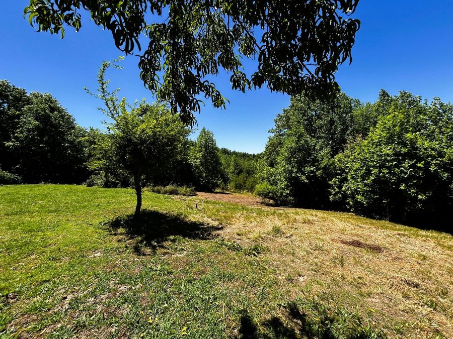 Property Image 57