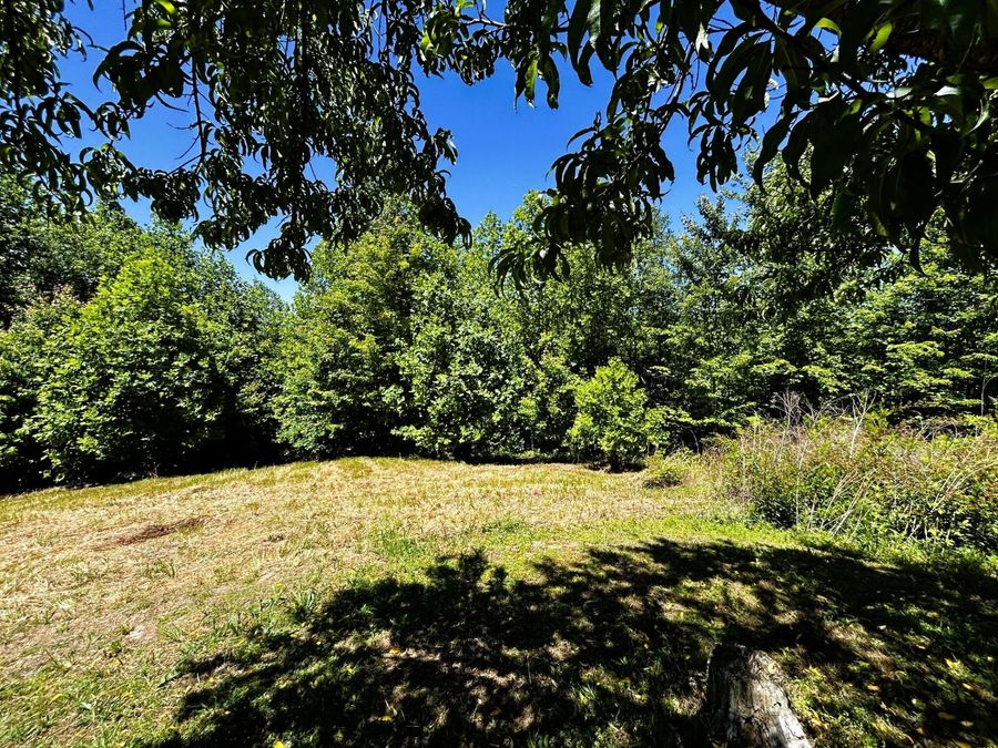 Property Image 58