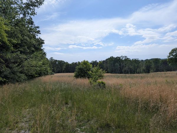 1615 Burdette Road , Grandview, TN 37337