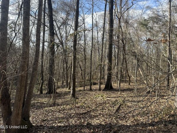 Dunbar Road, Natchez, MS 39120