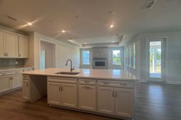 1549 Crested Iris Way  photo 4