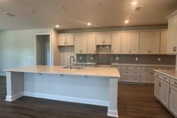 1549 Crested Iris Way  photo 4