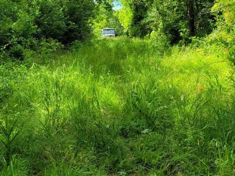 20.6 Ac Buckler Rd, Monroe Township, OH 45157 Photo 10