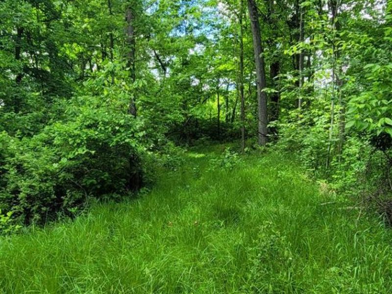 20.6 Ac Buckler Rd, Monroe Township, OH 45157 Photo 13