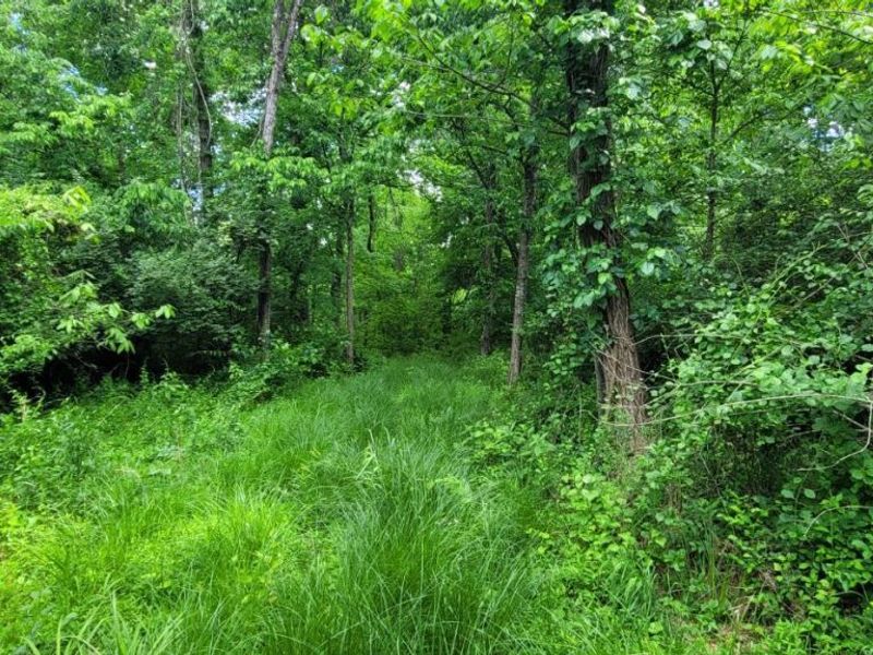 20.6 Ac Buckler Rd, Monroe Township, OH 45157 Photo 17