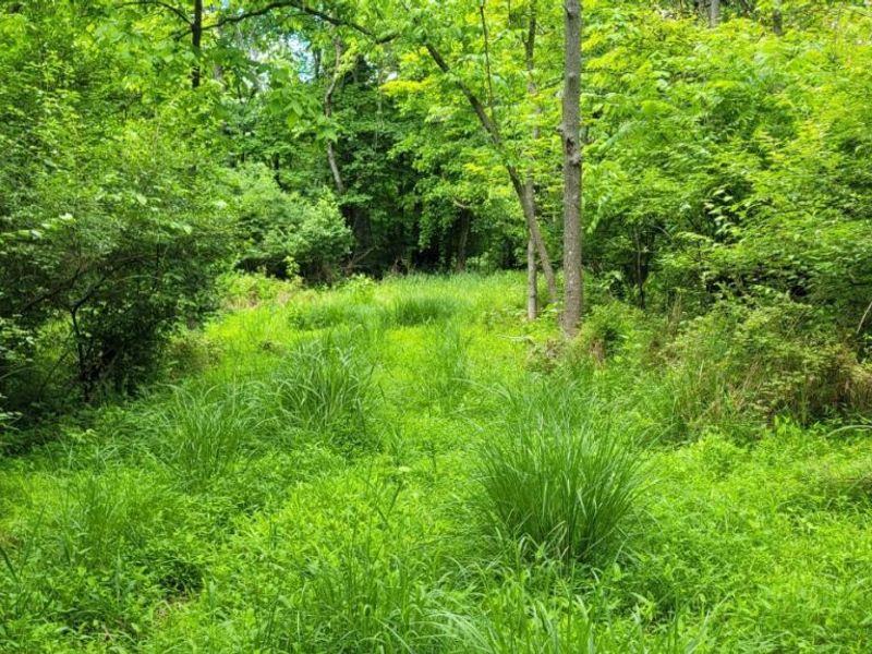 20.6 Ac Buckler Rd, Monroe Township, OH 45157 Photo 19