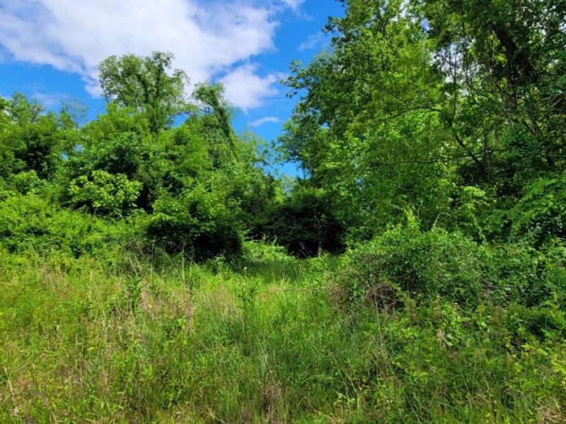 20.6 Ac Buckler Rd, Monroe Township, OH 45157 Photo 21