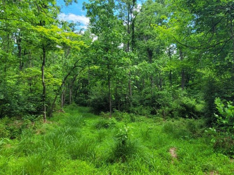 20.6 Ac Buckler Rd, Monroe Township, OH 45157 Photo 22