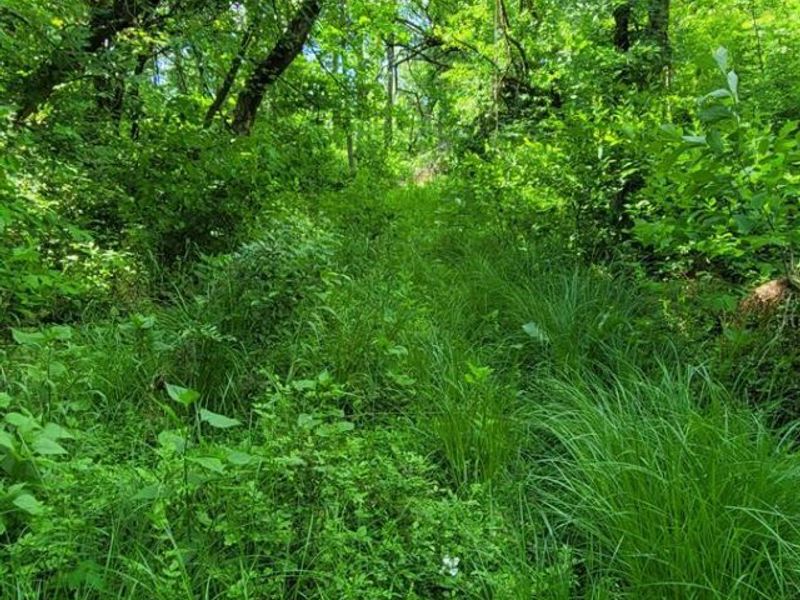 20.6 Ac Buckler Rd, Monroe Township, OH 45157 Photo 23